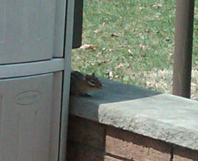 Photo Credit: Dorinda Duclos