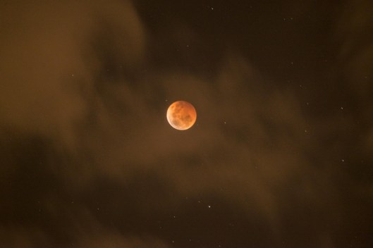 blood-moon-488029_960_720