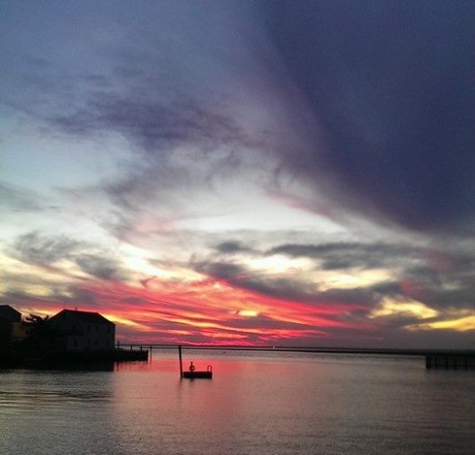 brians-pic-goodnight