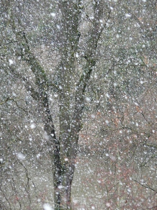 snowfall-16320_960_720