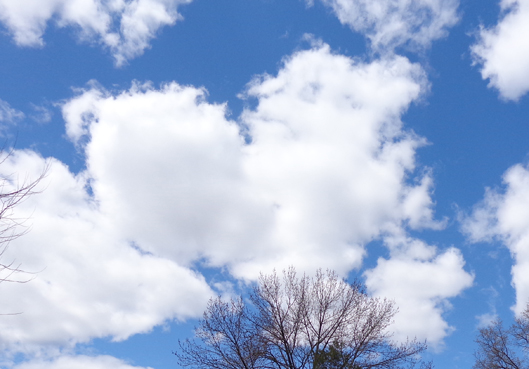 heart cloud 415a