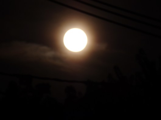 supermoon815