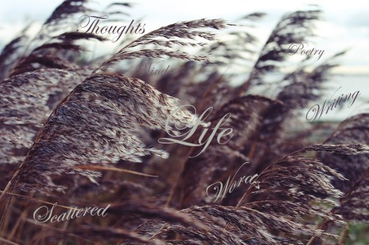 reed-mine1056322_960_720