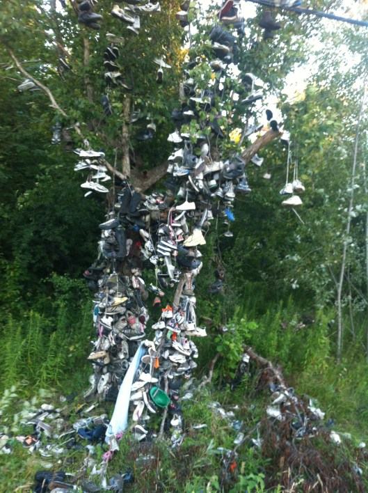 shoe-tree-002