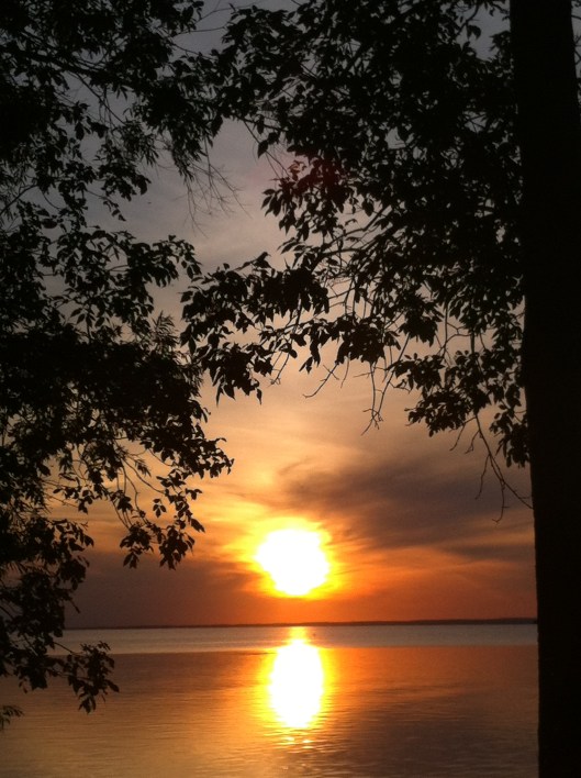 steadfast-and-constant-503