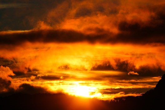 natural-667573_960_720