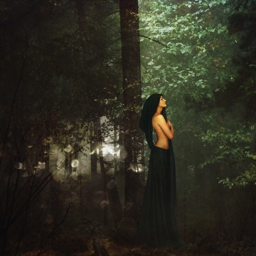 forest-1377550_960_720