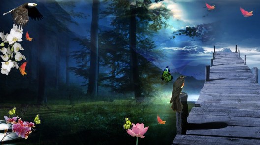 graphic-1349781_960_720