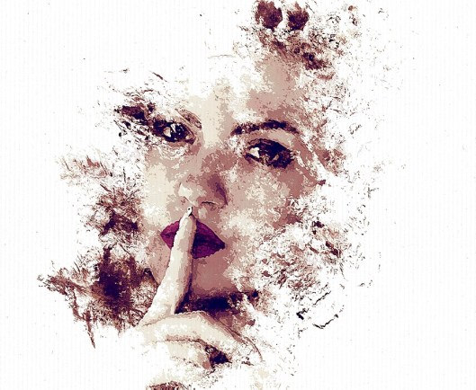 portrait-1550259_960_720