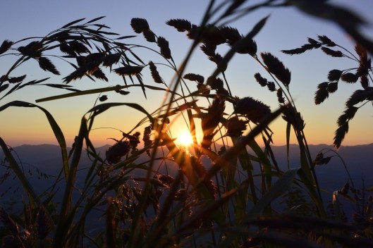 sunrise-836927_960_720