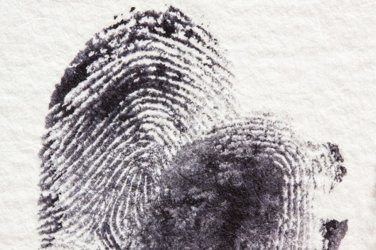 fingerprint-255904_960_720