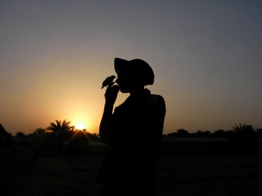 sunset-780343_960_720