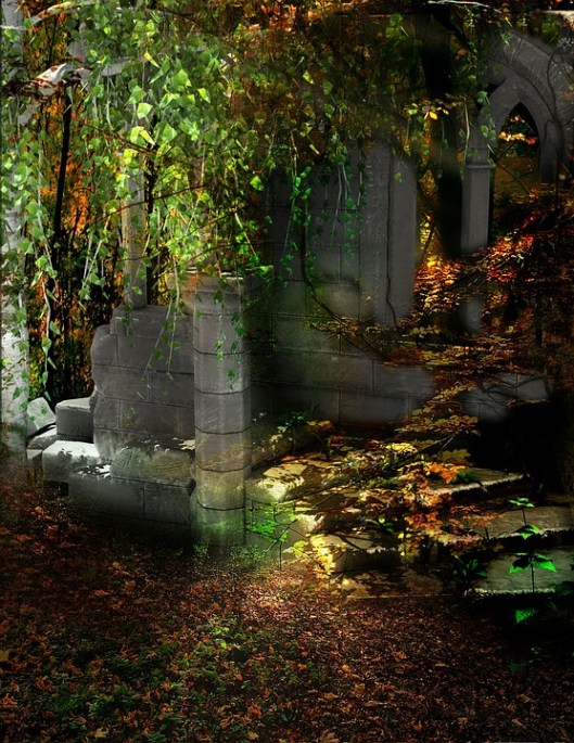 forest-1867642_960_720