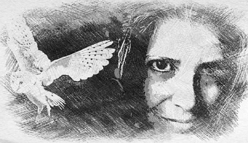 Night Owl Poetry – Dorinda Duclos